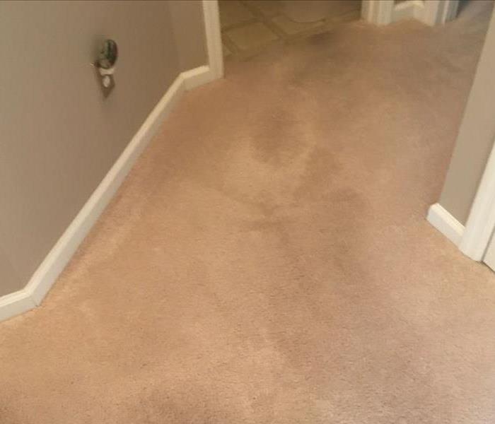 After - Carpet Cleaning
